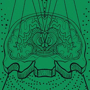 Free Will and The Brain